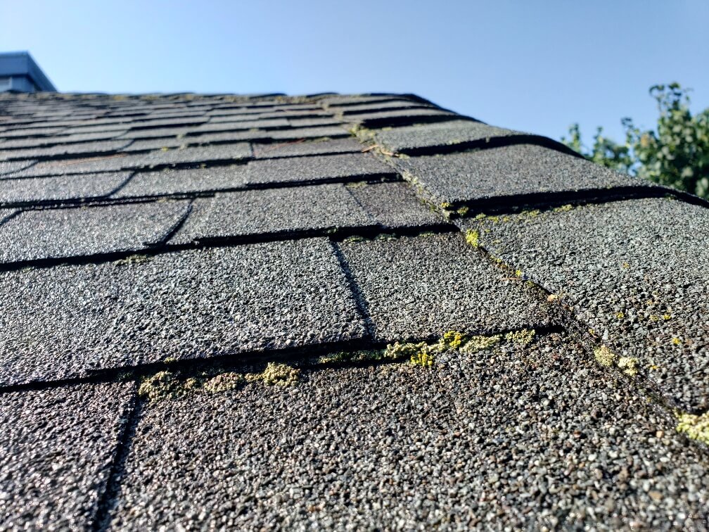 Roof Cleaning Madison Wi